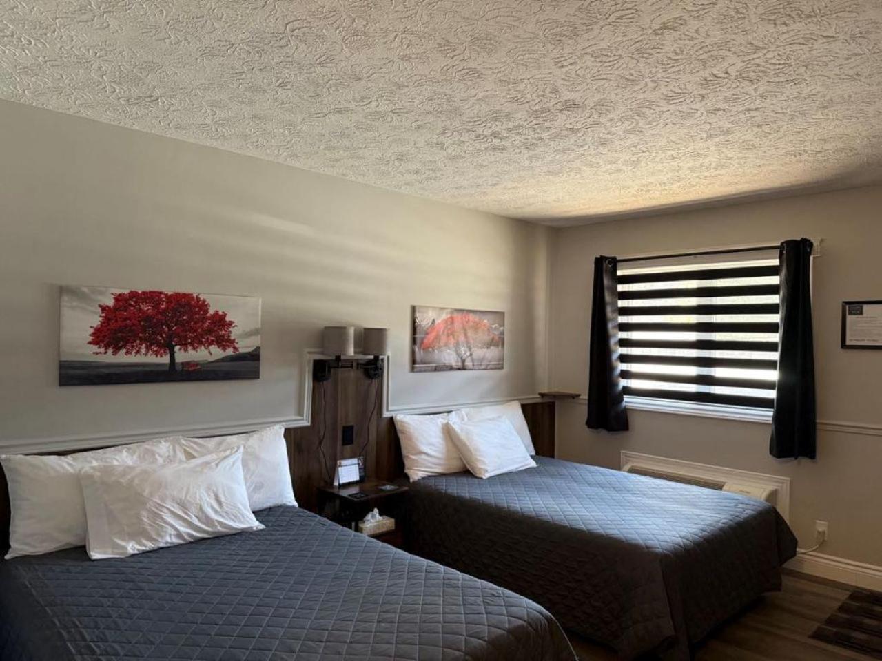 Auberge Micky Inc Edmundston Ngoại thất bức ảnh