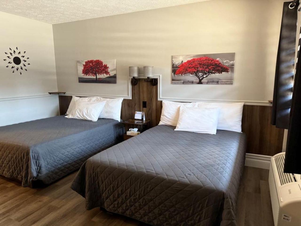 Auberge Micky Inc Edmundston Ngoại thất bức ảnh